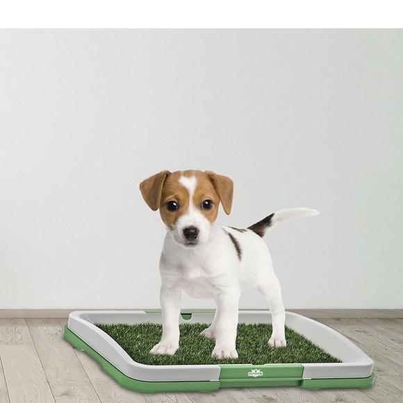 Dog Indoor Synthetic Grass Potty Trainer - Picture 7 of 7
